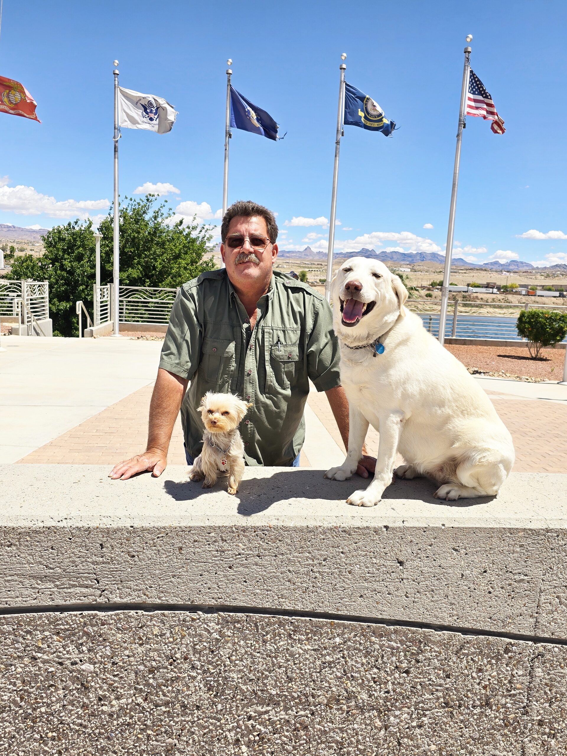 Roy Hayes working hands-on with a dog