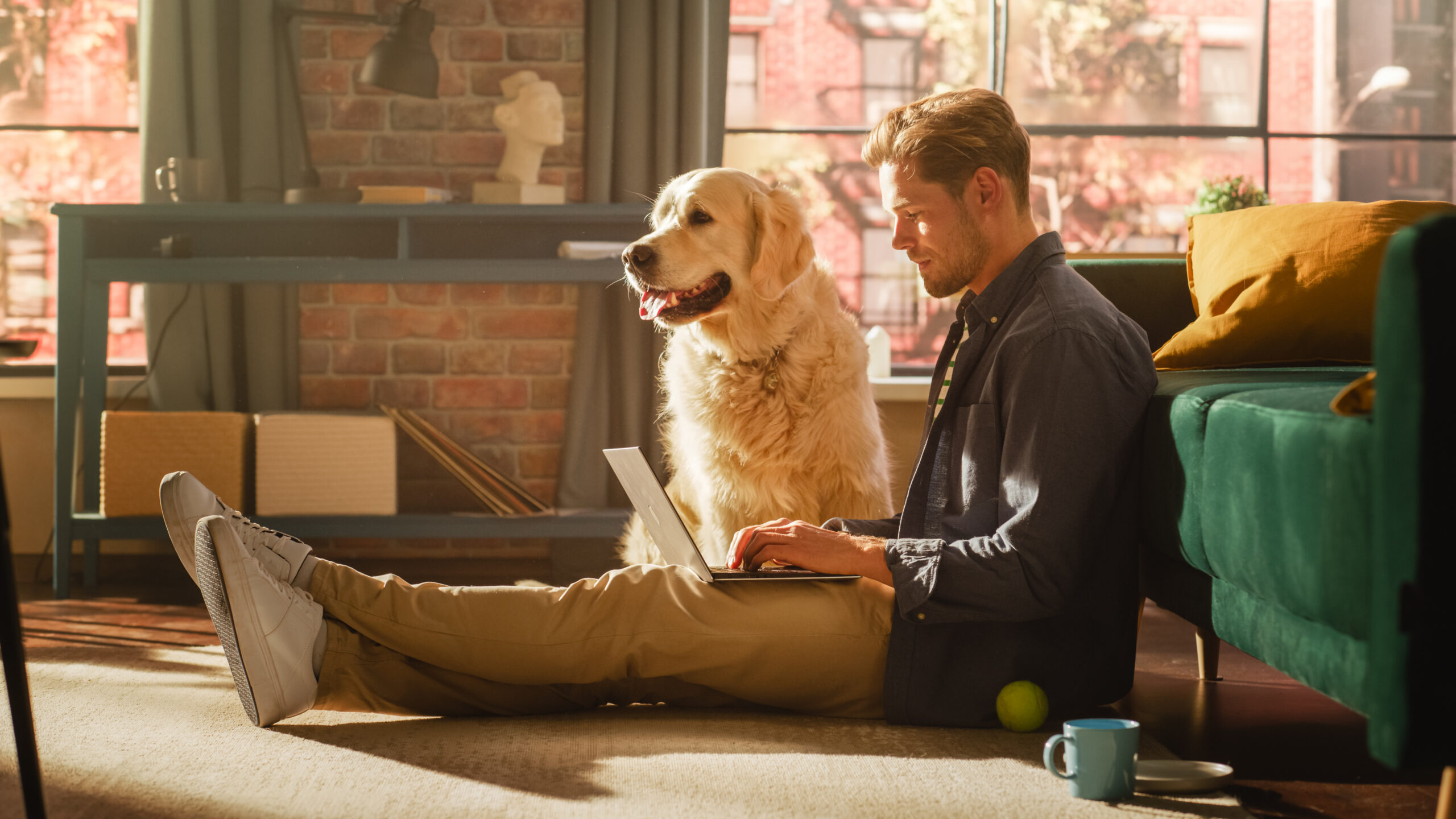 Dog at home practicing calm guest manners
