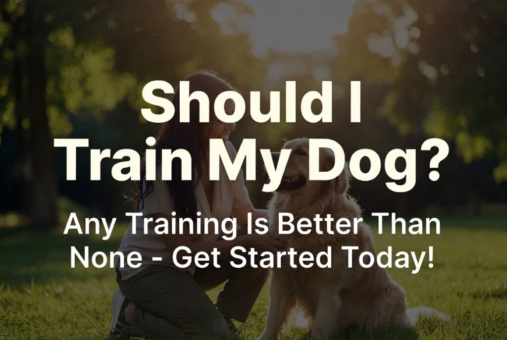 Should I Train My Dog? Any Training Is Better Than None – Start Today